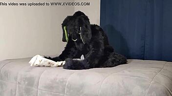 Bunny's diaper-covered adventure in the water