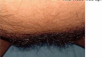 Hairy and chubby Latina get naughty