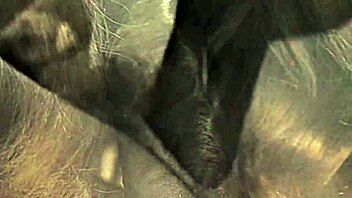 Black cock and hairy pussy in an interracial blowjob video from the past
