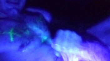 Home alone fun with a big blacklight and his solo masturbation