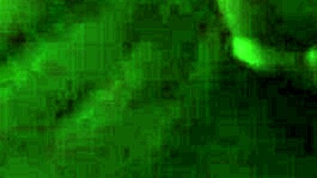 kendra can't stop sucking my cock