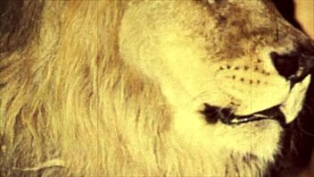 Dark Lantern Entertainment показывает эротическую сказку Красавица и Чудовище