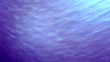 can you handle this ebony pussy in interracial action? it's black and ready for more intense fucking.