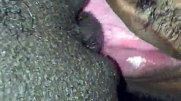 Backseat pussy licking and cunilingus