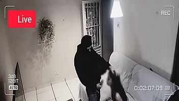 thief fucks young teen alone in house live on tv