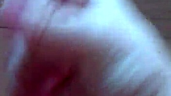 What Is Inside This Mysterious Video File From March 2015?