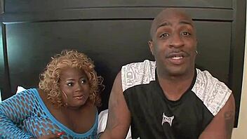 horse with black dick gets balls licked by cow