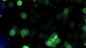 Guided JOI for women with pussy moans, come cum with me in whisper. 😏💦