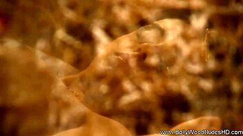 The rose of romantic india