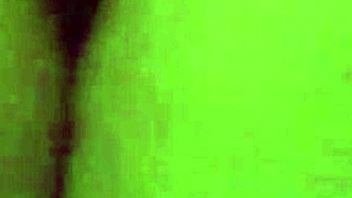 Maud's third European adventure