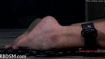 Sadomasochism whipping tube