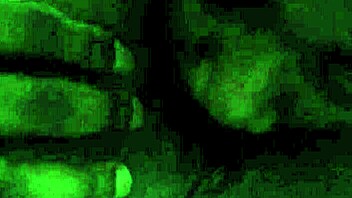 this is a casual recording from may 10, 2014, at 12:18 pm capturing everyday moments