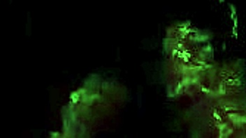 my secret life erotic vintage silent films