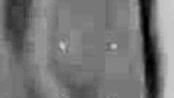 Latina Teen 18+ Sucks Multiple Pussies at Wild Party on Ellas4