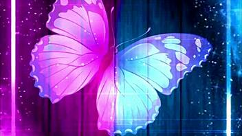 Dancing lights illuminate the homemade scene with amateurs