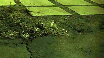 outdoor orgy with tall amazon domination?