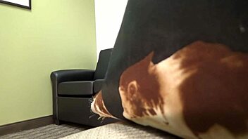 Carrie b undergoes blonde casting interview process