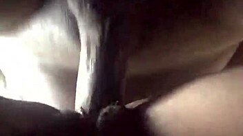 ace boogie performance in a lively setting