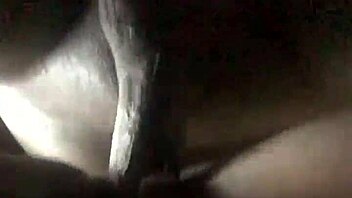 ace boogie performance in a lively setting