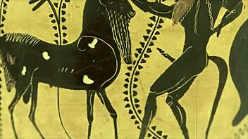 Antique pussy and asshole in a beastial fuck