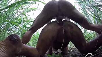 Kissa Sins kirli yanını yoğun sikişle ortaya koyuyor