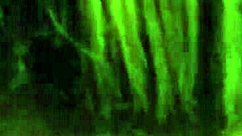 Homemade couple sucks cock and cums on natural tits