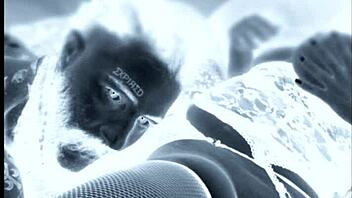 El PIRATA Se Encuentra Con Angeles Del Nilo