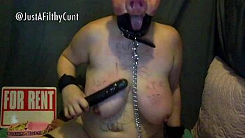 Fat porn pig gets humiliated and oinks while cumming on command