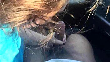 i suck dat big cock in da car