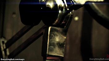 Stunning lesbians rimming and fucking