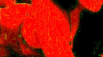 Lauren Areiza Gets Fucked Hard In Four 😈