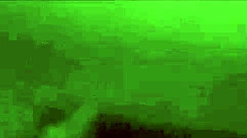 The Secret Life of a Victorian Gentleman