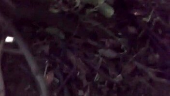 Canadian babe gets naughty in the park