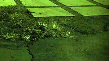 I get anal punishment that's rough and painful, unless you're from the sixties, with extreme assfucking and domination