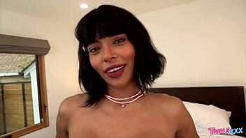 tgirls xxx heres looking at you