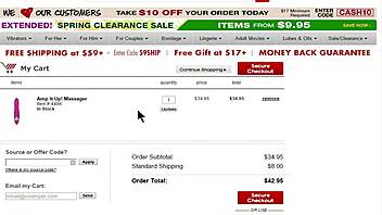 Adam and Eve Amp It Up Sex Toy Massager Review