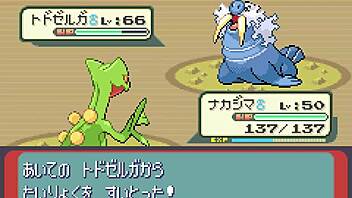 slowly playing sapphire where all pokemon appear part 17 with mods 😊