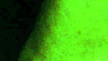 Daily video from October 12, 2016