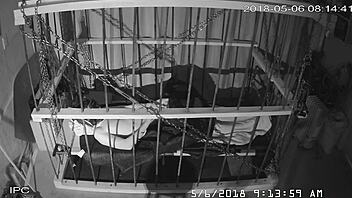 Watch the cagecam feed from the bondage cage!