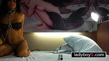 Asian Ladyboy Sucks White Cock in Handcuffs