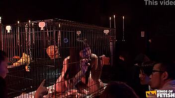 japanese babe trapped in cage eats and pisses before a crowd of guys. her hairy petite frame shocks!