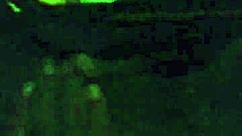 I'm cheatin on my fiance with chocolate