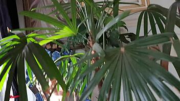 Solo mature gay man masturbating his huge dick in private