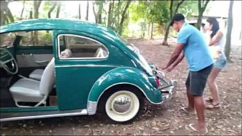 Want To Buy A Volkswagen Beetle?