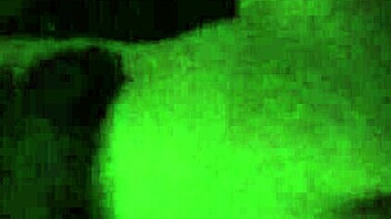 she loves that big black cock so much