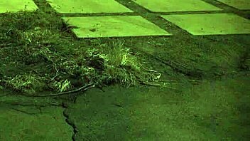 i cant beleive this tiny young 18+ petite 18+ teen 18+ takes such amazin rough anal sex