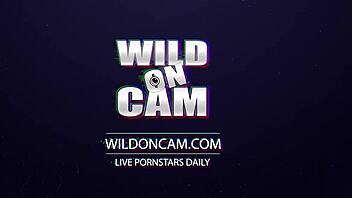 blonde beauty sucks sloppy before intense live fucking