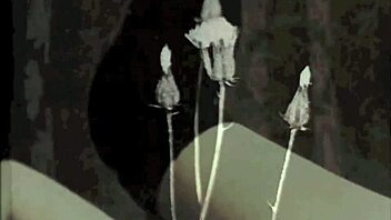 Dark Lantern Entertainment Showcases Two Centuries of Vintage Lesbian Action