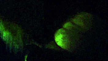 amateurs have sex in a car