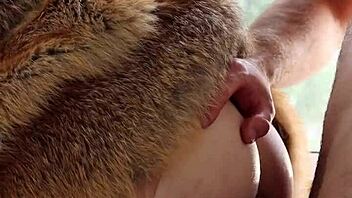 redhead in fur coat was fucked in tight ass high heels leather gloves short version